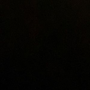 Meet your Posher, Dylan